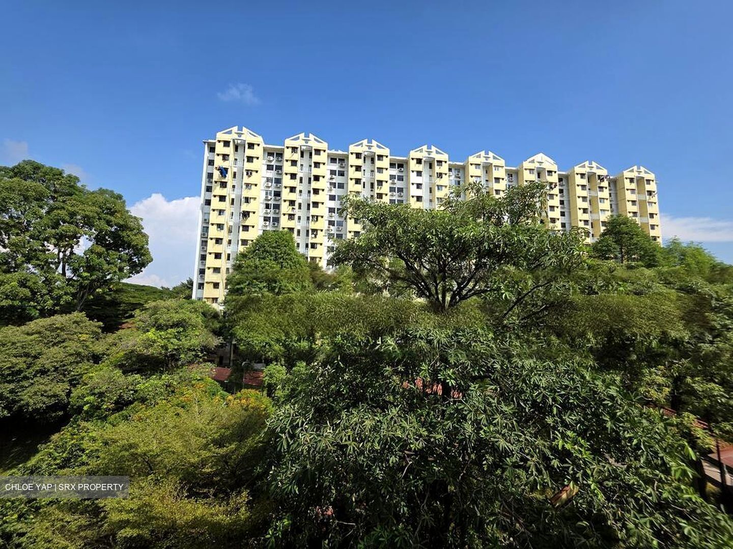 Blk 93 Commonwealth 16 (Queenstown), HDB 3 Rooms #477514791